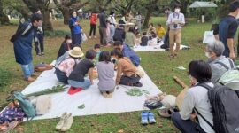 小石川植物園が発見と創作の場に／1万人近くが訪れた小石川植物祭