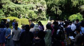 小石川植物祭を目前に地域で盛り上がる！ボランティアがフィールドワークに参加