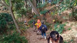 子どもの「遊び力」は無限大／都会の森のようちえんNEKKO、文京区で活動中